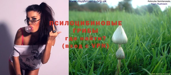 метадон Магас