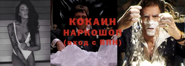 дживик Майский