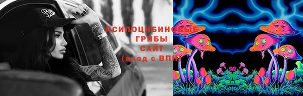 героин Горняк
