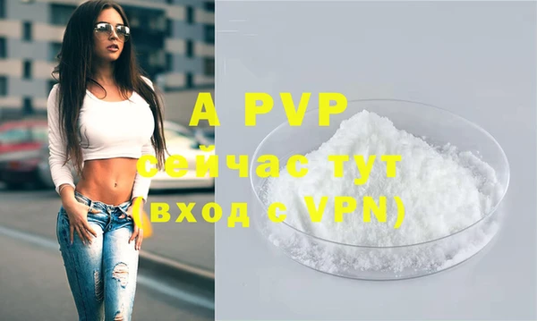 дживик Майский