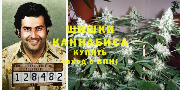 дживик Майский